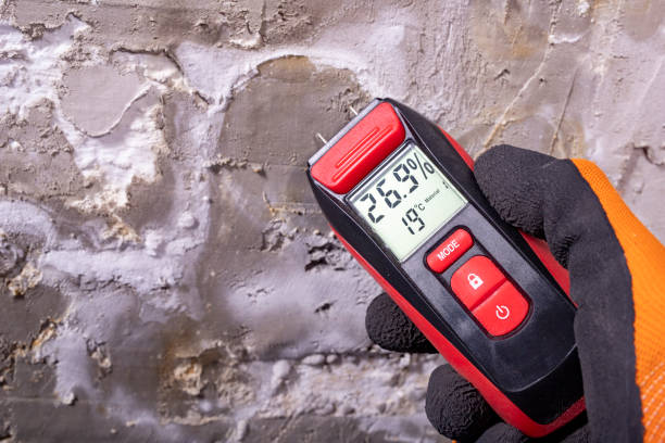 Best Professional Mold Removal  in Mission Hills, CA