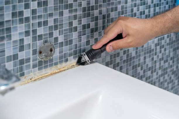 Best Fast Mold Removal  in Mission Hills, CA